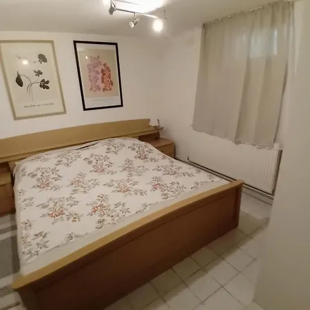 An Der Hutweide Apartment Sooss