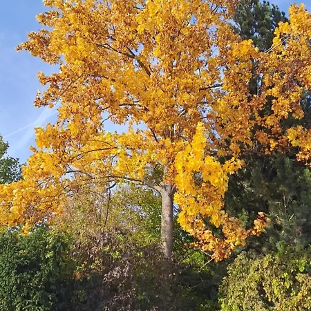 An Der Hutweide * Sooss