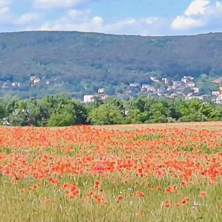 Apartment An Der Hutweide