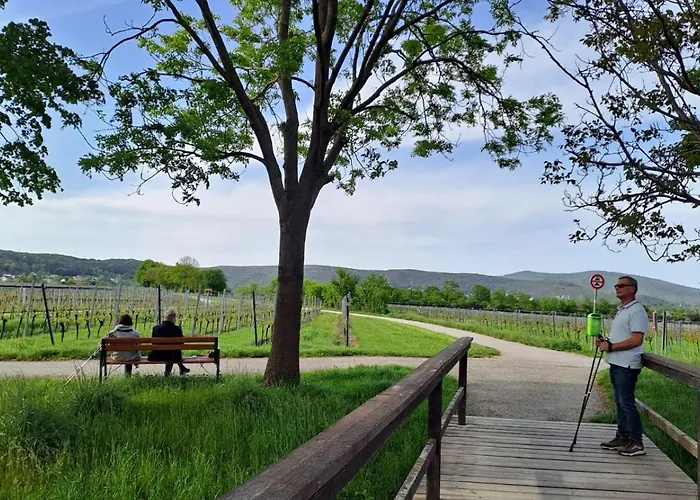 Lejlighed An Der Hutweide Sooss