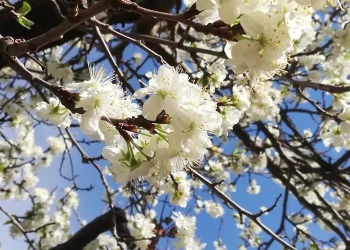 An Der Hutweide Lejlighed *