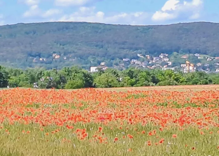 Lejlighed An Der Hutweide